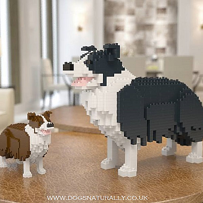 Border Collie Jekca Available in 3 Colours & 2 Sizes